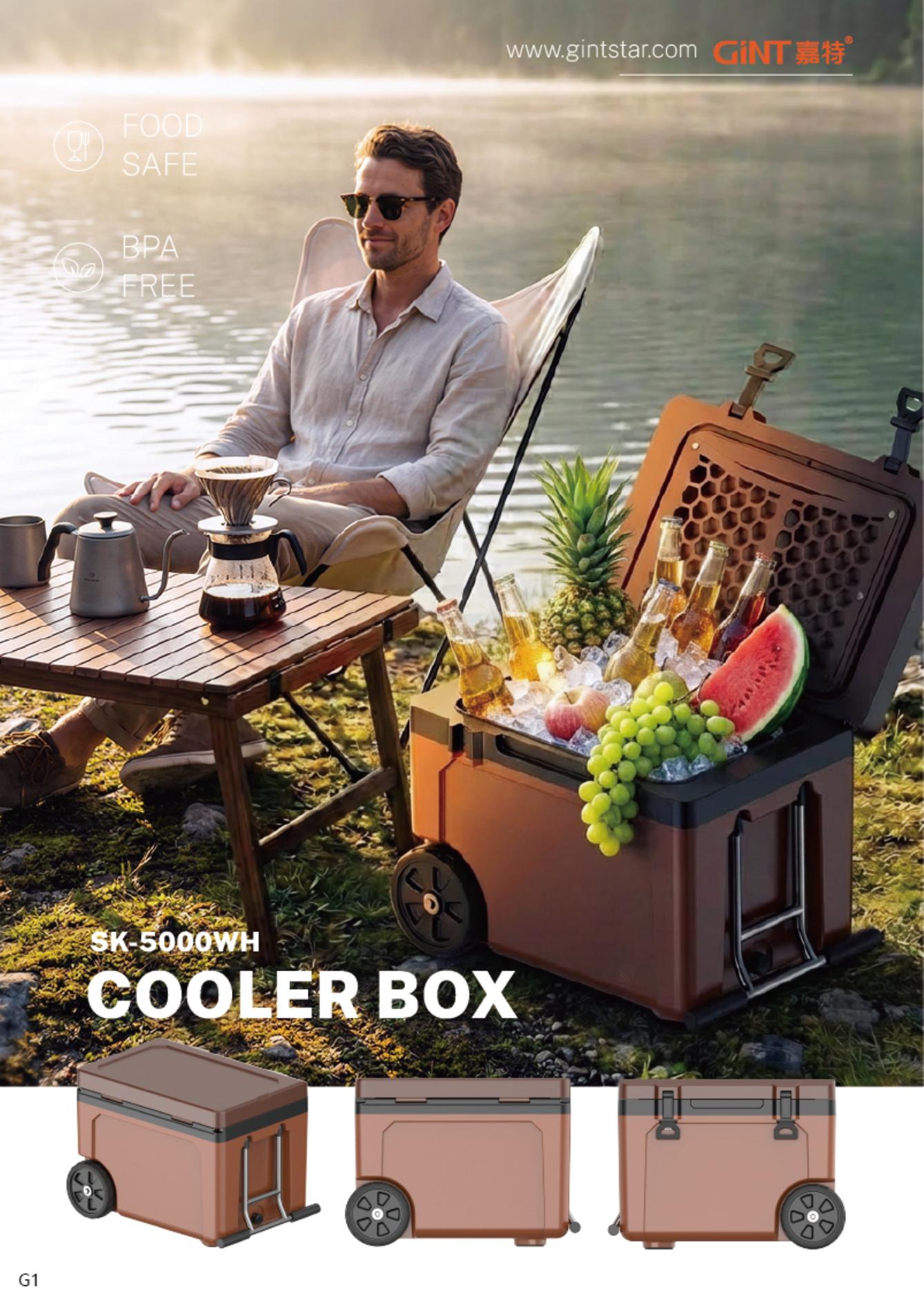 Cooler box With handlebar Cooler box With handlebar